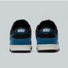 Nike Dunk Low Retro Trainer